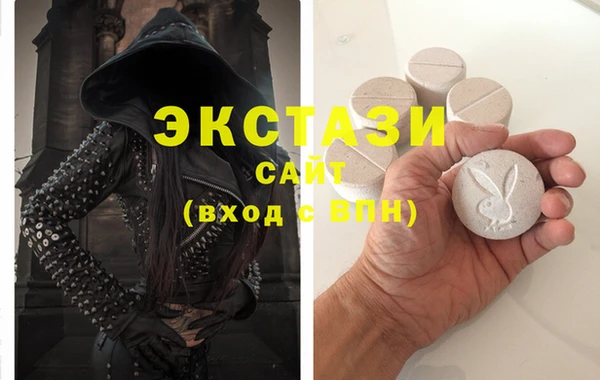 стафф Гусев